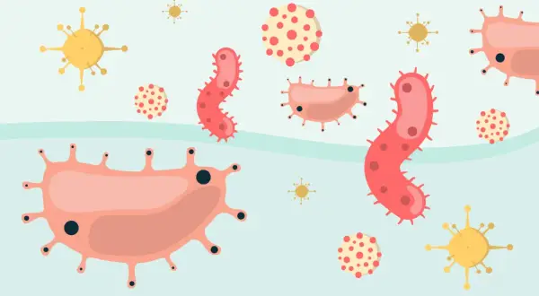 Illustration av olika bakterier och virus. En frisk hals är fri från dessa, medan halsfluss orsakas av dem.