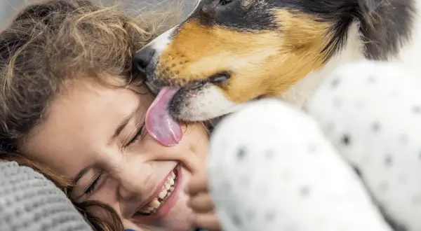 A dog licks a laughing child's face. The question of whether dogs' mouths are cleaner than humans' is a common one, but this image captures a moment of pure joy.