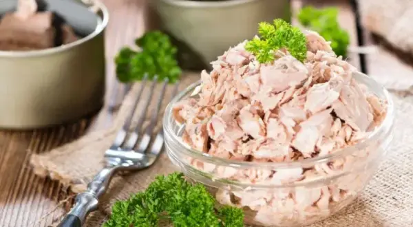 Czy pies może jeść tuńczyka? Sprawdź, czy to bezpieczne dla zdrowia