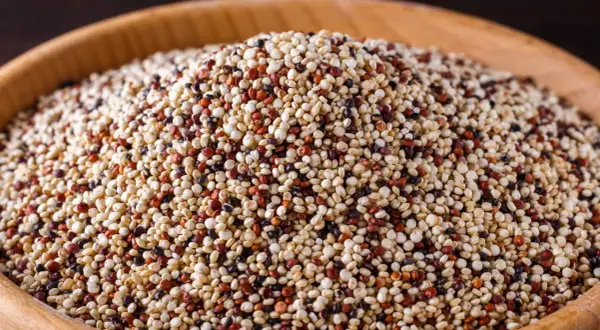 Ein Haufen bunter Quinoa, ein nährstoffreiches Pseudo-Getreide, in einer Holzschale.