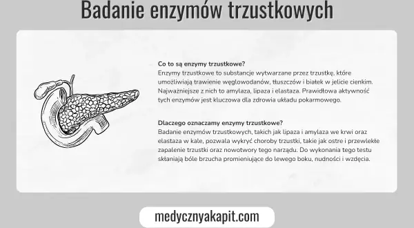 Ilustracja przedstawia trzustkę i wyjaśnia, jak zbadać trzustkę poprzez badanie enzymów. Pomaga to wykryć choroby tego narządu.