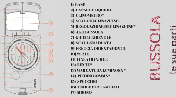 La bussola spiegata ai bambini: un'illustrazione dettagliata mostra le parti di una bussola, dall'ago alla lente, per imparare a orientarsi.