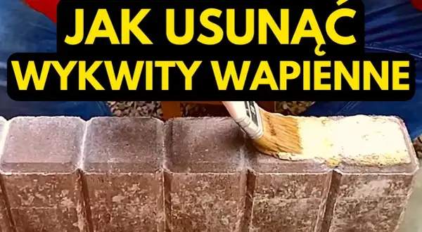 Czysty klinkier na tarasie? Poradnik: jak usunąć mech, wykwity i brud!