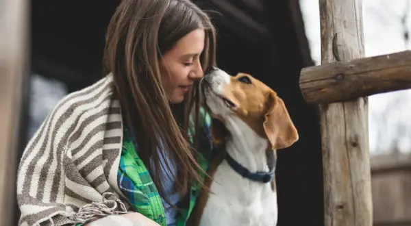 Ein Hund sucht die Aufmerksamkeit seiner Besitzerin. Sie kuscheln eng aneinander, umgeben von rustikalen Holzelementen.