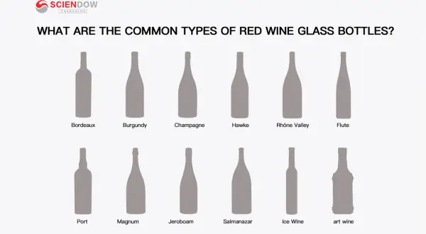 Illustrazione dei diversi nomi bottiglie vino: Bordeaux, Burgundy, Champagne, Hawke, Rhône Valley, Flute, Port, Magnum, Jeroboam, Salmanazar, Ice Wine, art wine.