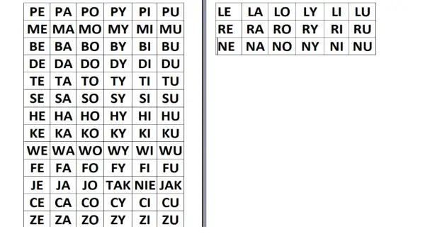 Tabele z sylabami, np. PE, PA, PO, PY, PI, PU, ME, MA, MO, MY, MI, MU. Idealne, by nauczyć 6 latka czytać.