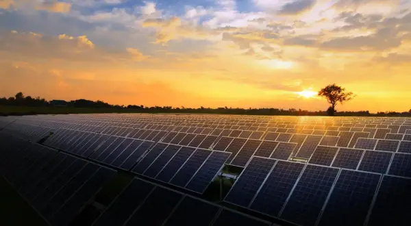 Un vasto campo de placas solares refleja el atardecer dorado. El sol se oculta tras un árbol solitario, iluminando el cielo con tonos naranjas y amarillos.