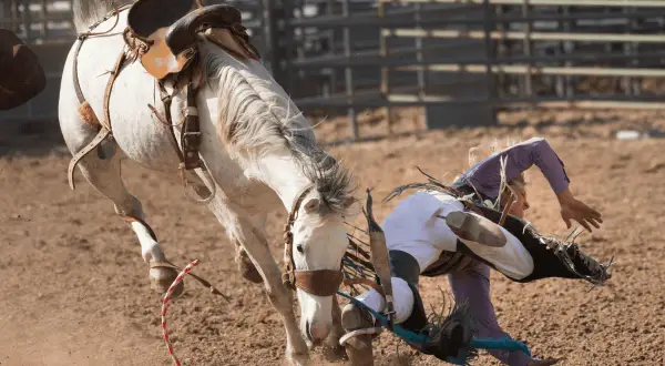 Niebezpieczny upadek z konia podczas rodeo. Jeździec leci w powietrzu, koń szaleje.