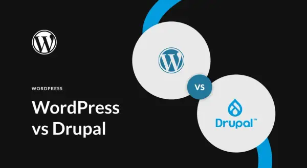 Drupal czy WordPress - który CMS lepszy dla Twojego projektu?