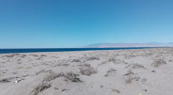 Arena y vegetación escasa en la playa de las amoladeras, con el mar azul y montañas al fondo bajo un cielo despejado.