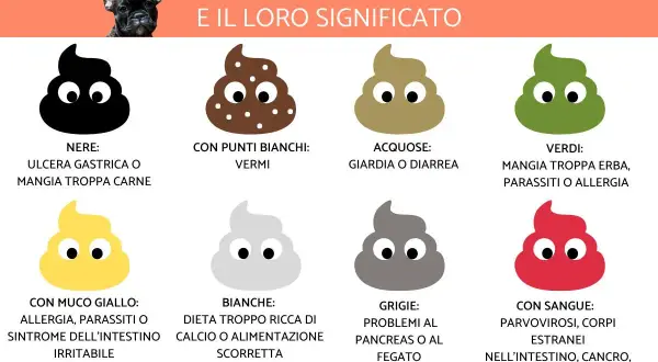 Guida illustrata sui tipi di feci nei cani e il loro significato. Colori diversi indicano problemi di salute, da vermi a ulcere.