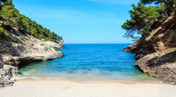 Una cala rosa spiaggia incastonata tra rocce e pini marittimi, con acque cristalline e un cielo azzurro intenso.
