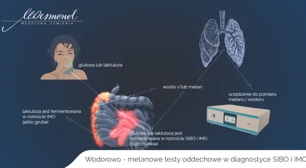 Test oddechowy wykrywa wodór i metan, pomagając zdiagnozować IMO i SIBO. Po spożyciu glukozy lub laktulozy, gazy te są mierzone.