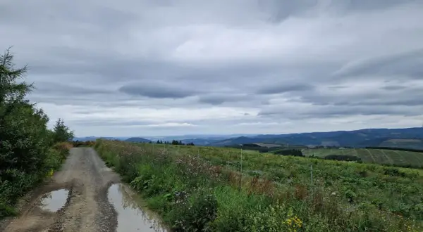 Schlammiger Weg mit Pfützen, blühende Wiesen und sanfte Hügel im Hintergrund. Perfekt für eine Wanderung auf dem Rothaarsteig, wie auf Komoot geplant.