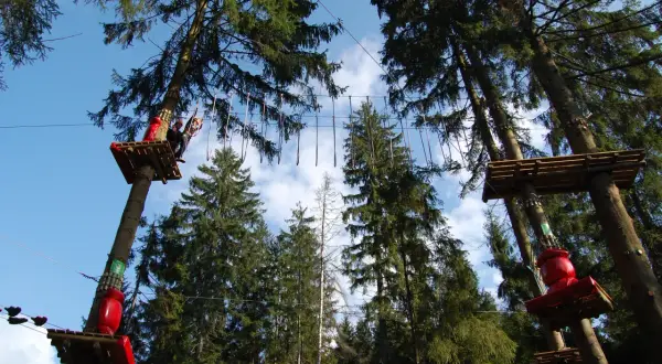 Park Linowy Base Camp Istebna: Cennik, trasy i plan wizyty z dziećmi