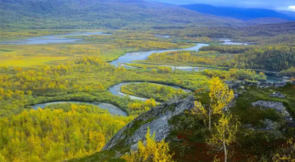 Vacker höstfärgad natur med en slingrande flod i Vadvetjåkka nationalpark.