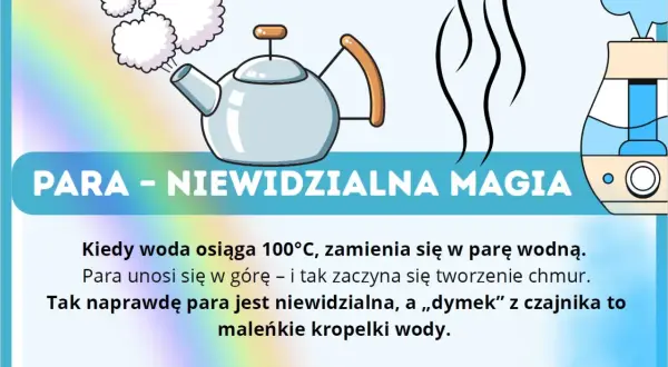 Ilustracja pokazuje czajnik z parującą wodą i nawilżacz powietrza, wyjaśniając stany skupienia wody, w tym parę wodną.
