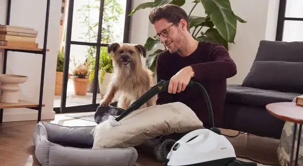 Mann reinigt Kissen mit Dampfreiniger, während Hund zusieht. Eine einfache Methode für sessel reinigen hausmittel.