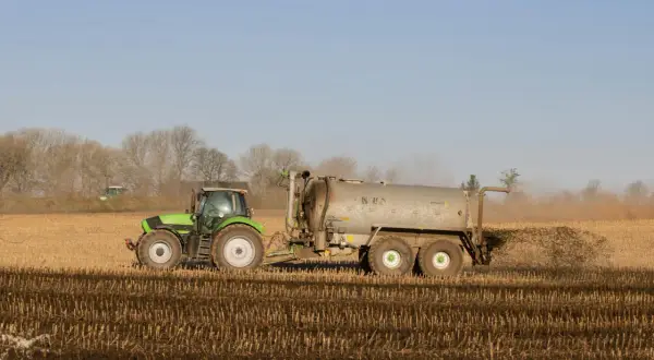Zielony traktor z przyczepą rozprowadza obornik pod warzywa na polu.