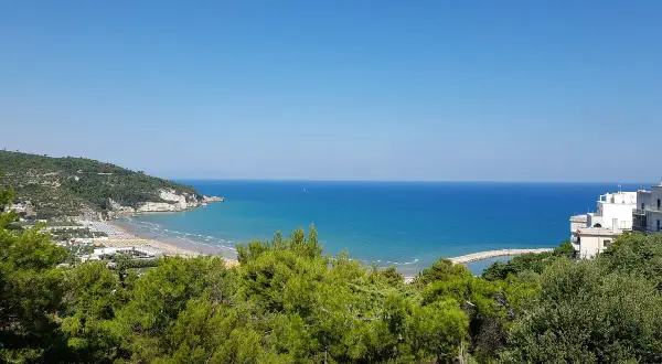 Vista panoramica della baia dei trabucchi con mare azzurro, spiaggia affollata e vegetazione rigogliosa.
