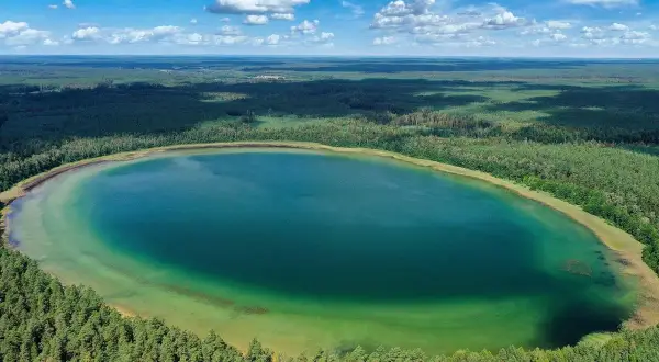 Malownicze jezioro płaskie na Suwalszczyźnie otoczone gęstym lasem iglastym. Woda ma turkusowy odcień, a dno jest widoczne w płytkich miejscach.