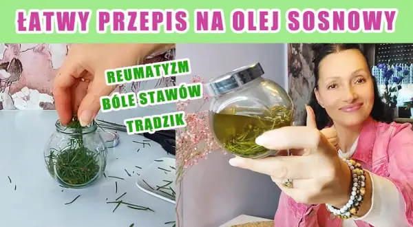 Jak zrobić olejek eteryczny z sosny w prosty sposób w domu