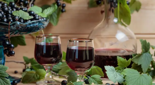 Dwa kieliszki ciemnego likieru, jakby z samego Chambord, otoczone świeżymi czarnymi porzeczkami i liśćmi.