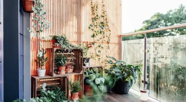 Ideas balcones muy pequeños: plantas en cajas de madera crean un oasis verde.