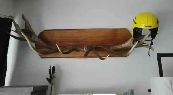 Une idée déco avec bois de cerf : des bois imposants fixés sur une planche de bois, supportant un casque de ski jaune vif.