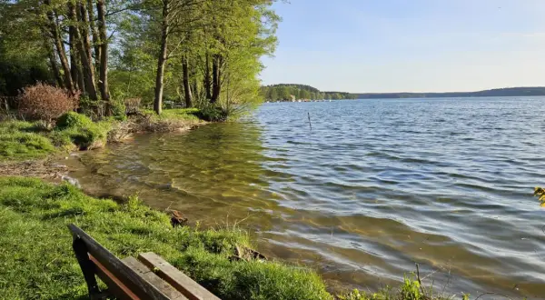 Ławka nad jeziorem GIM. Woda lśni w słońcu, a drzewa szumią na brzegu. Idealne miejsce na odpoczynek.