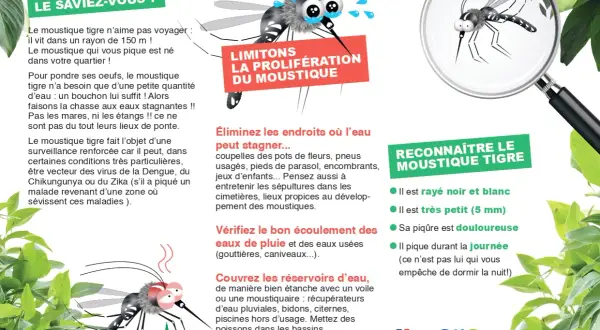 Un moustique d'eau, le moustique tigre, est représenté avec des détails pour le reconnaître. Il pique le jour.