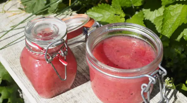 Två glasburkar med rabarbermarmelad med kardemumma står på en träbänk utomhus, omgivna av gröna blad.