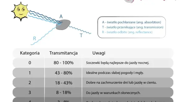 Jak daleko widzi gołąb? 340° wzroku i UV poznaj prawdę