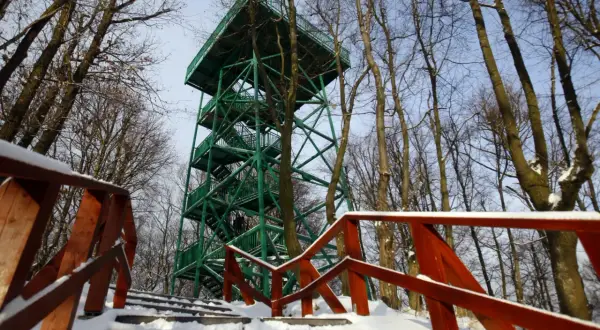 Zielona wieża widokowa w Gdańsku, otoczona nagimi drzewami, z drewnianymi schodami pokrytymi śniegiem.