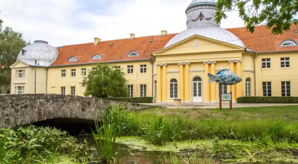 Milicz Pałac: Historia i zwiedzanie pałacu w miejscowości Milicz