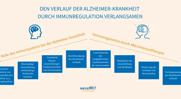 Grafik zeigt, wie Immunregulation den Verlauf von Alzheimer verlangsamen kann, von gestörten Immunzellen zu Schutz von Nervenzellen.