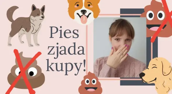 Szczeniak zjada swoje odchody - jak skutecznie temu zapobiec?