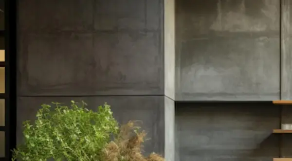 Murs en béton ciré, évoquant un style industriel moderne, avec des plantes vertes apportant une touche de nature. Parfait pour un garage ou un loft.