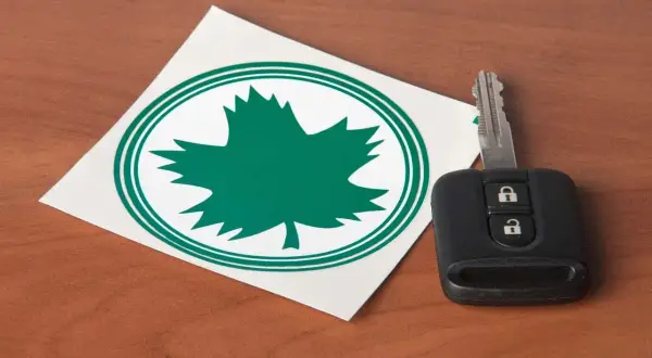 Zielony listek na aucie, symbol natury i wolności, obok kluczyka do samochodu.