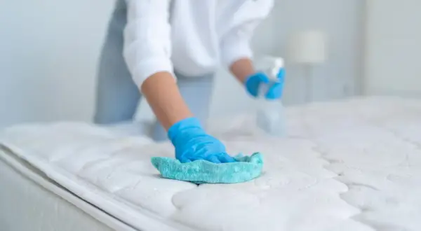 Person mit blauen Handschuhen reinigt die Matratze mit einem Tuch und Sprühflasche.