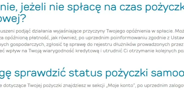 Provident: Jak sprawdzić zadłużenie? 3 proste metody!