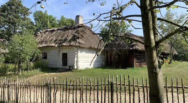 Drewniane chaty kryte strzechą w skansenie, przed nimi płotek z gałęzi.