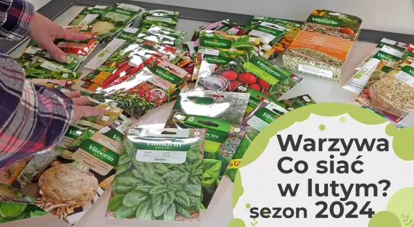 Co można uprawiać w różnych warunkach? Odkryj najlepsze rośliny