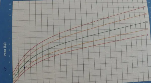 Gráfica de peso para la edad de niños. Muestra cómo saber cuanto mide un niño de 2 años y su peso ideal.