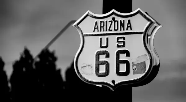 Znak Route 66 w Arizonie, z sylwetkami drzew w tle. Ikona amerykańskiej drogi.