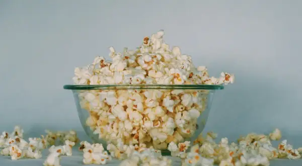 Miska pełna popcornu, rozsypanego wokół. Czy koty mogą jeść popcorn? To pytanie nurtuje wielu właścicieli.