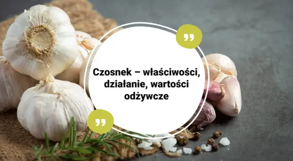 Czosnek – właściwości, działanie, wartości odżywcze. Kilka główek czosnku na tle jutowego worka i ciemnego blatu.