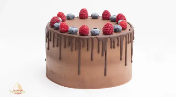 Schokoladen-Drip-Cake mit frischen Beeren, ein köstlicher Genuss für jeden Anlass.