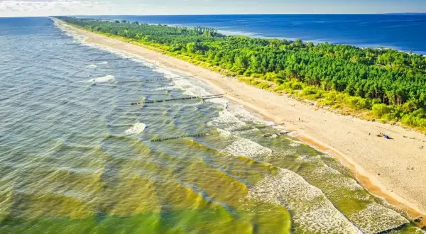 Plaża z sosnowym lasem w tle. Falochrony łagodzą fale, tworząc wrażenie najcieplejszej wody w Bałtyku.