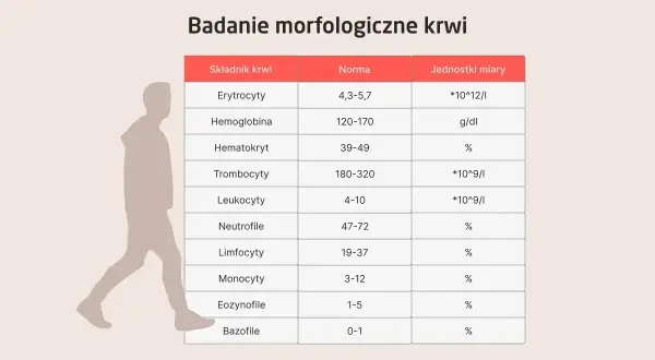 Tabela z badaniem morfologicznym krwi: co to jest? Pokazuje normy dla erytrocytów, hemoglobiny, hematokrytu, trombocytów i leukocytów.